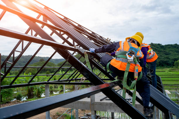 Best Metal Roofing Contractor  in Brier, WA