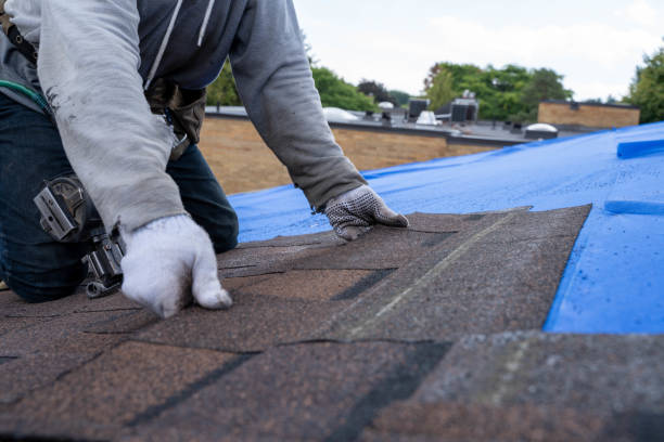 Best Roof Repair Services  in Brier, WA