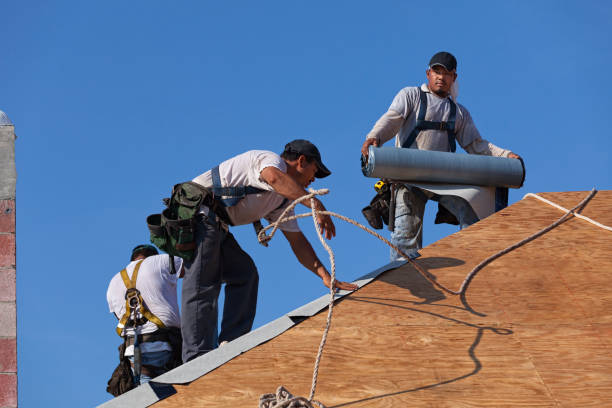 Best Commercial Roofing Services  in Brier, WA