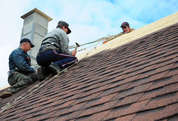 Quick and Trustworthy Emergency Roof Repair Services in Brier, WA