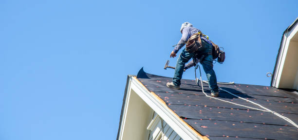 Best Roof Leak Repair  in Brier, WA